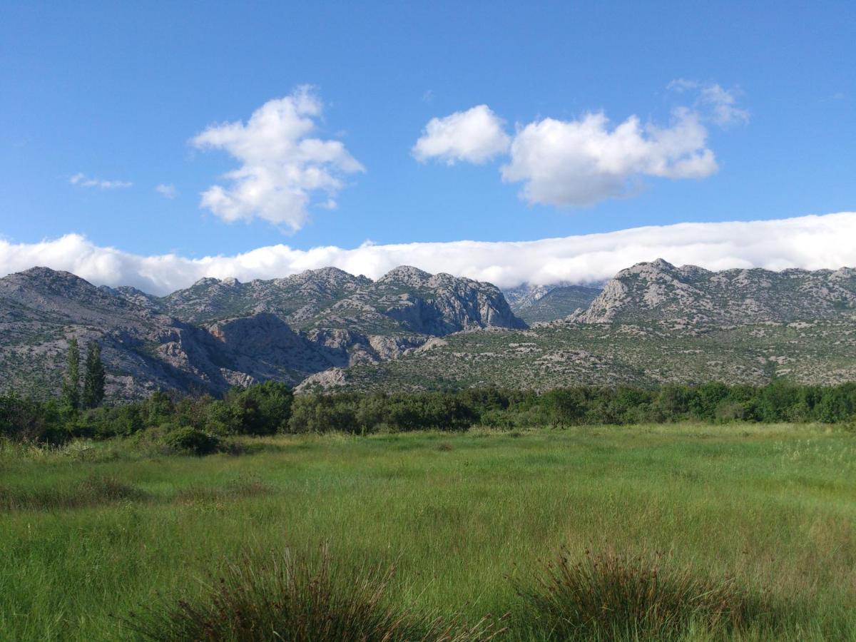 Apartments Amari Starigrad Paklenica Luaran gambar